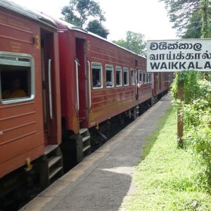 Bahnhof Waikkala  auf der Strecke Chilaw -Colombo.jpg