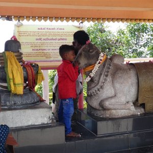 Nandiskulptur in Trincomalee.jpg