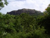Sri Lanka 2011 084_753x565.jpg