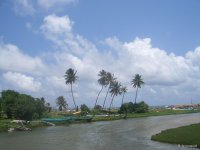 Sri Lanka 2007 374.jpg
