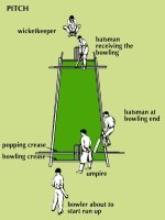 cricket-pitch-w-people.jpg