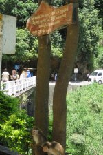 Ramboda Falls.jpg