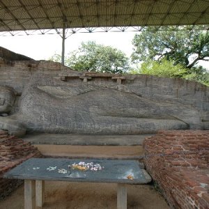 Polonnaruwa Buddastatuen Gal Vihara liegend