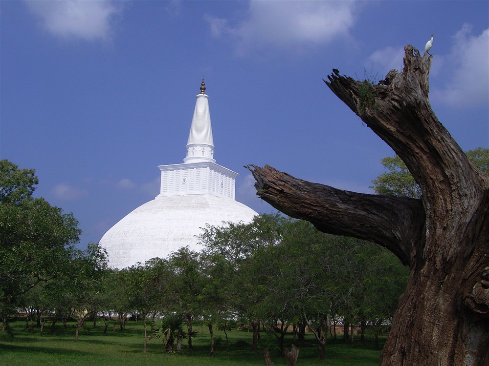 Ruwanweli Saya Dagoba in Anuradhapura.jpg